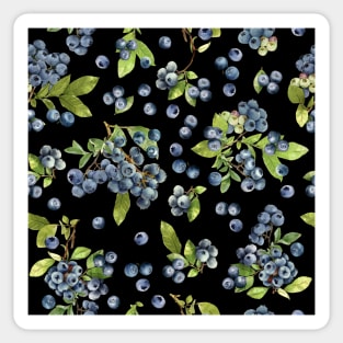 Watercolor blueberry on black Sticker